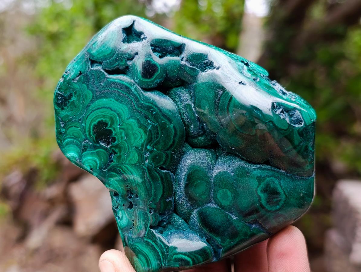 Polished and Natural Flower Banded Malachite Free Forms x 2 From Congo - Toprock Gemstones and Minerals 