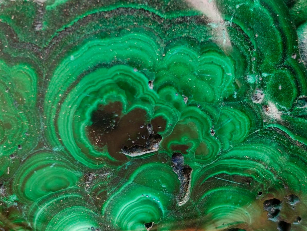 Polished and Natural Flower Banded Malachite Free Forms x 2 From Congo - Toprock Gemstones and Minerals 