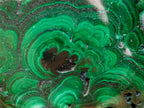 Polished and Natural Flower Banded Malachite Free Forms x 2 From Congo - Toprock Gemstones and Minerals 