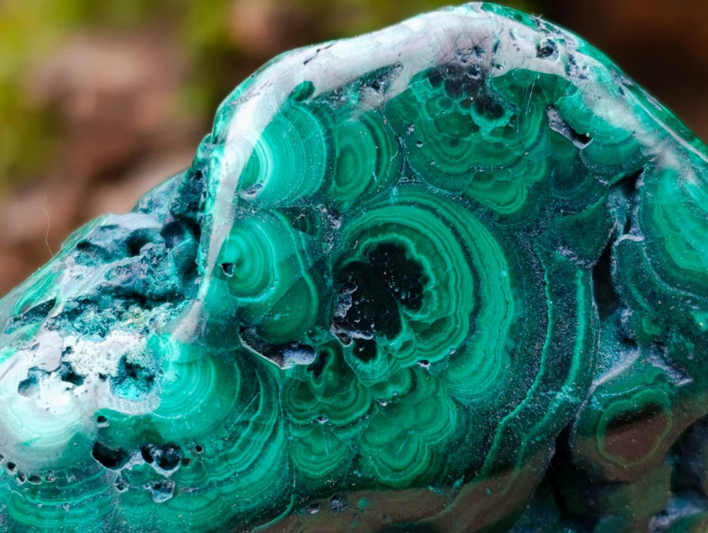 Polished and Natural Flower Banded Malachite Free Forms x 2 From Congo - Toprock Gemstones and Minerals 