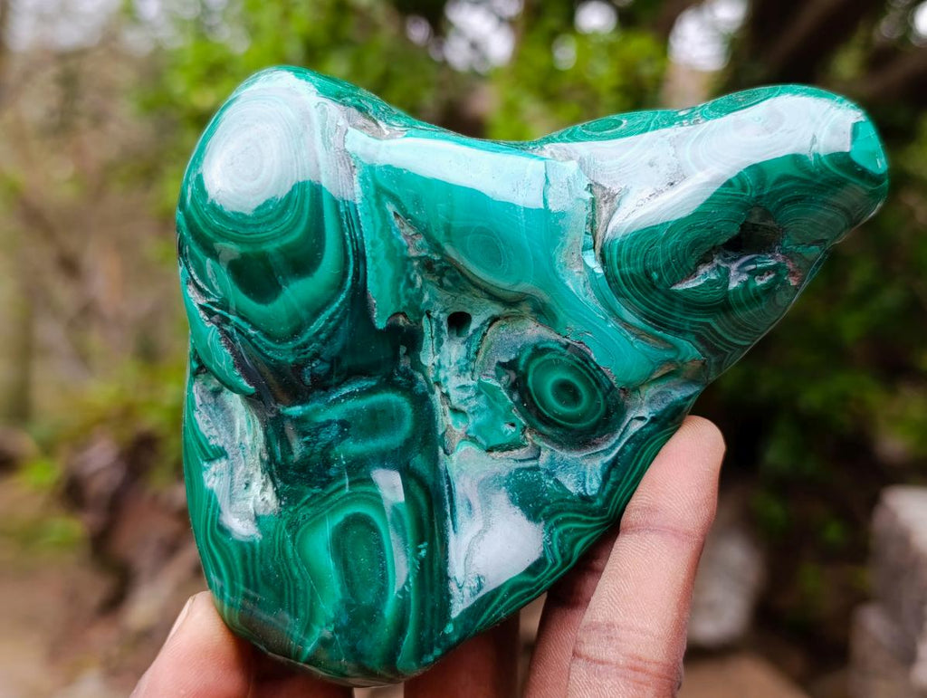 Polished and Natural Flower Banded Malachite Free Forms x 2 From Congo - Toprock Gemstones and Minerals 