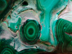 Polished and Natural Flower Banded Malachite Free Forms x 2 From Congo - Toprock Gemstones and Minerals 
