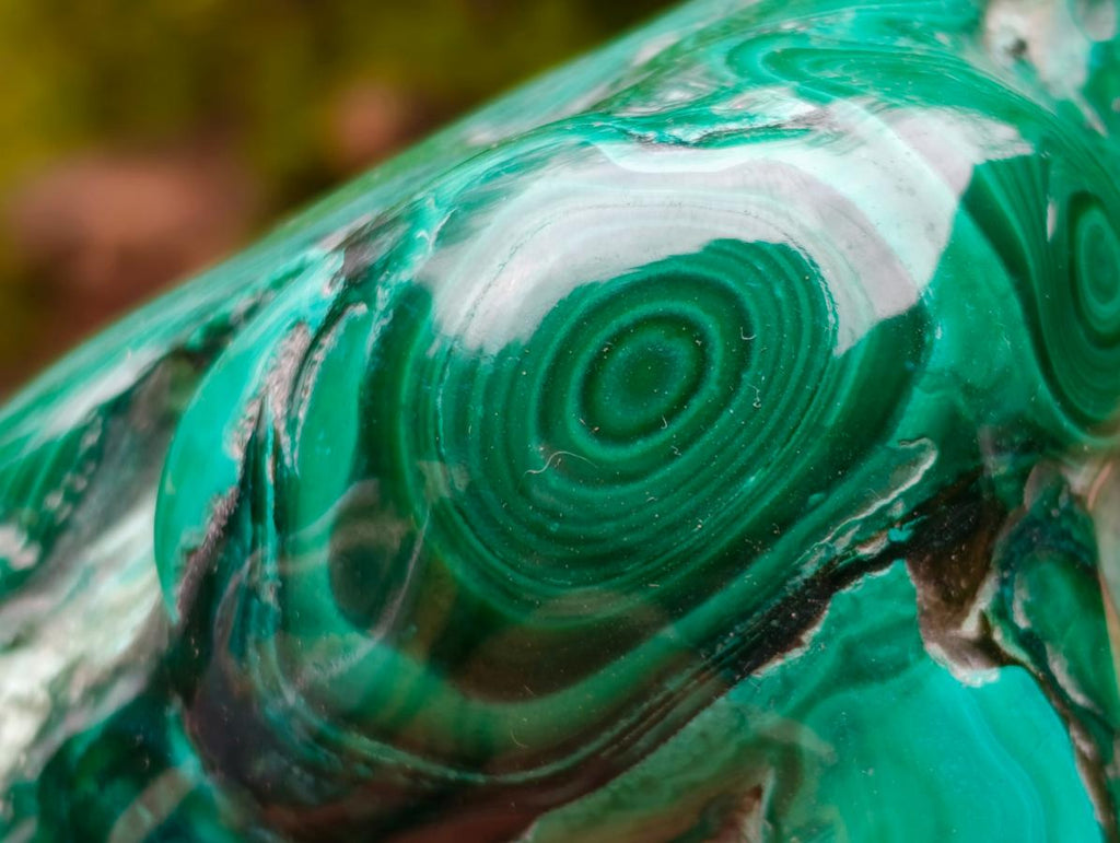 Polished and Natural Flower Banded Malachite Free Forms x 2 From Congo - Toprock Gemstones and Minerals 
