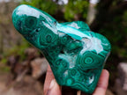 Polished and Natural Flower Banded Malachite Free Forms x 2 From Congo - Toprock Gemstones and Minerals 