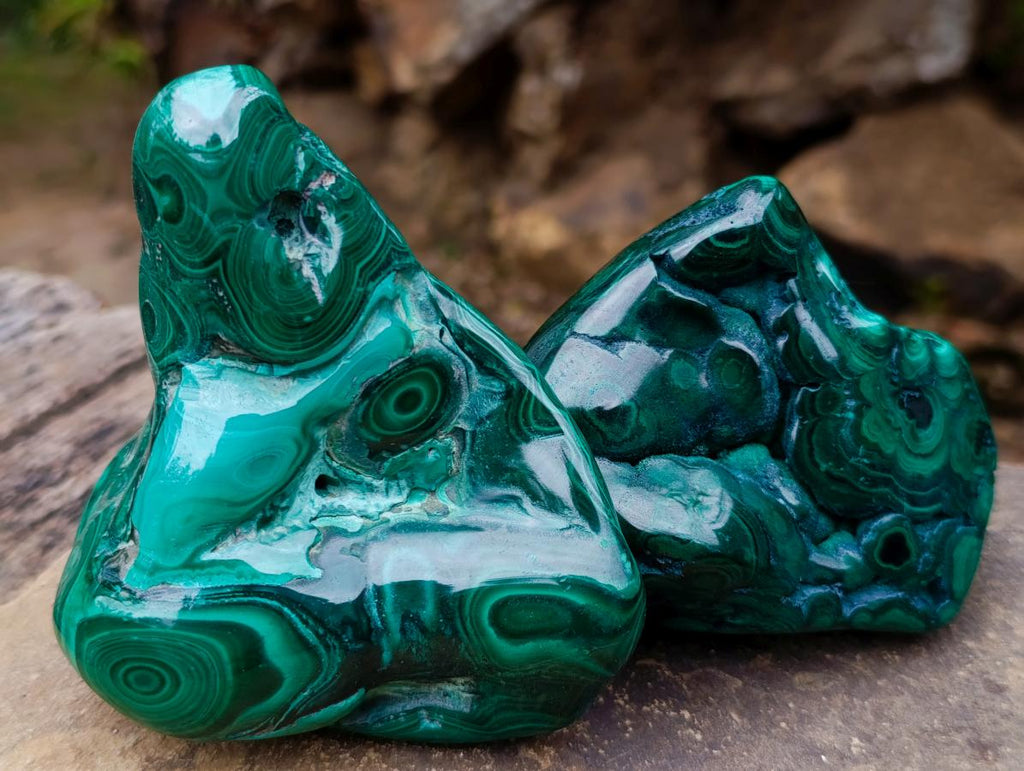 Polished and Natural Flower Banded Malachite Free Forms x 2 From Congo - Toprock Gemstones and Minerals 