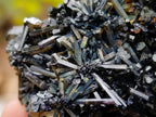 Natural Schorl Black Tourmaline Cluster Specimens with Associated Minerals x 12 From Erongo, Namibia - Toprock Gemstones and Minerals 