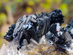 Natural Schorl Black Tourmaline Cluster Specimens with Associated Minerals x 12 From Erongo, Namibia - Toprock Gemstones and Minerals 