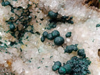 Natural Large Cabinet Size Ball Malachite Specimen Coated with Drusy White Quartz on Dolomite x 1 From Mindingi Mine, Kambove, Congo - Toprock Gemstones and Minerals 