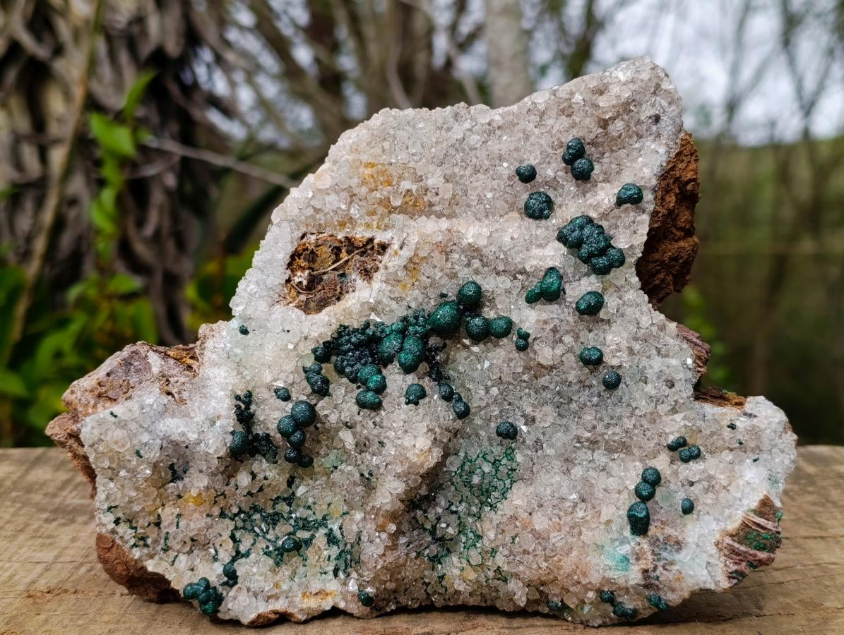 Natural Large Cabinet Size Ball Malachite Specimen Coated with Drusy White Quartz on Dolomite x 1 From Mindingi Mine, Kambove, Congo - Toprock Gemstones and Minerals 