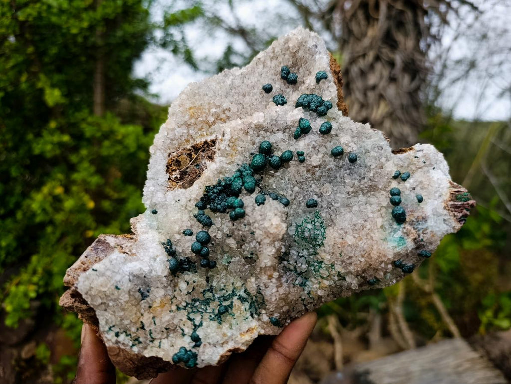 Natural Large Cabinet Size Ball Malachite Specimen Coated with Drusy White Quartz on Dolomite x 1 From Mindingi Mine, Kambove, Congo - Toprock Gemstones and Minerals 