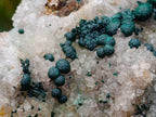 Natural Large Cabinet Size Ball Malachite Specimen Coated with Drusy White Quartz on Dolomite x 1 From Mindingi Mine, Kambove, Congo - Toprock Gemstones and Minerals 