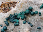 Natural Large Cabinet Size Ball Malachite Specimen Coated with Drusy White Quartz on Dolomite x 1 From Mindingi Mine, Kambove, Congo - Toprock Gemstones and Minerals 