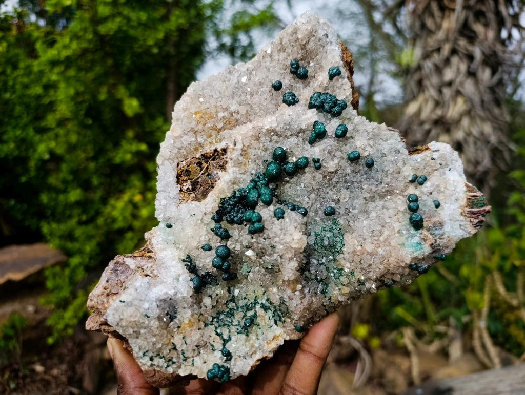 Natural Large Cabinet Size Ball Malachite Specimen Coated with Drusy White Quartz on Dolomite x 1 From Mindingi Mine, Kambove, Congo - Toprock Gemstones and Minerals 