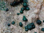 Natural Large Cabinet Size Ball Malachite Specimen Coated with Drusy White Quartz on Dolomite x 1 From Mindingi Mine, Kambove, Congo - Toprock Gemstones and Minerals 