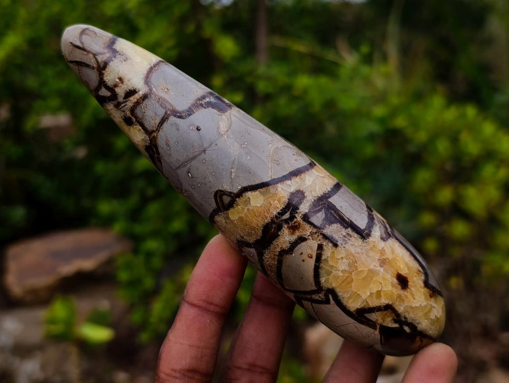 Polished Mix of Multi Mineral Massage Wands x 5 From Madagascar - Toprock Gemstones and Minerals 