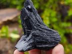 Natural Schorl Black Tourmaline Specimens with Associated Minerals x 13 From Erongo, Namibia - Toprock Gemstones and Minerals 