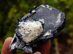 Natural Schorl Black Tourmaline Specimens with Associated Minerals x 13 From Erongo, Namibia - Toprock Gemstones and Minerals 