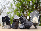 Natural Schorl Black Tourmaline Specimens with Associated Minerals x 13 From Erongo, Namibia - Toprock Gemstones and Minerals 