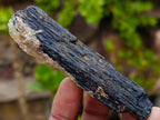 Natural Schorl Black Tourmaline Specimens with Associated Minerals x 13 From Erongo, Namibia - Toprock Gemstones and Minerals 