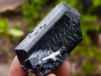 Natural Schorl Black Tourmaline Specimens with Associated Minerals x 13 From Erongo, Namibia - Toprock Gemstones and Minerals 