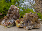 Natural Smokey Quartz Crystals and Clusters with Associated Minerals x 42 From Erongo, Namibia - Toprock Gemstones and Minerals 