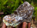 Natural Smokey Quartz Crystals and Clusters with Associated Minerals x 42 From Erongo, Namibia - Toprock Gemstones and Minerals 