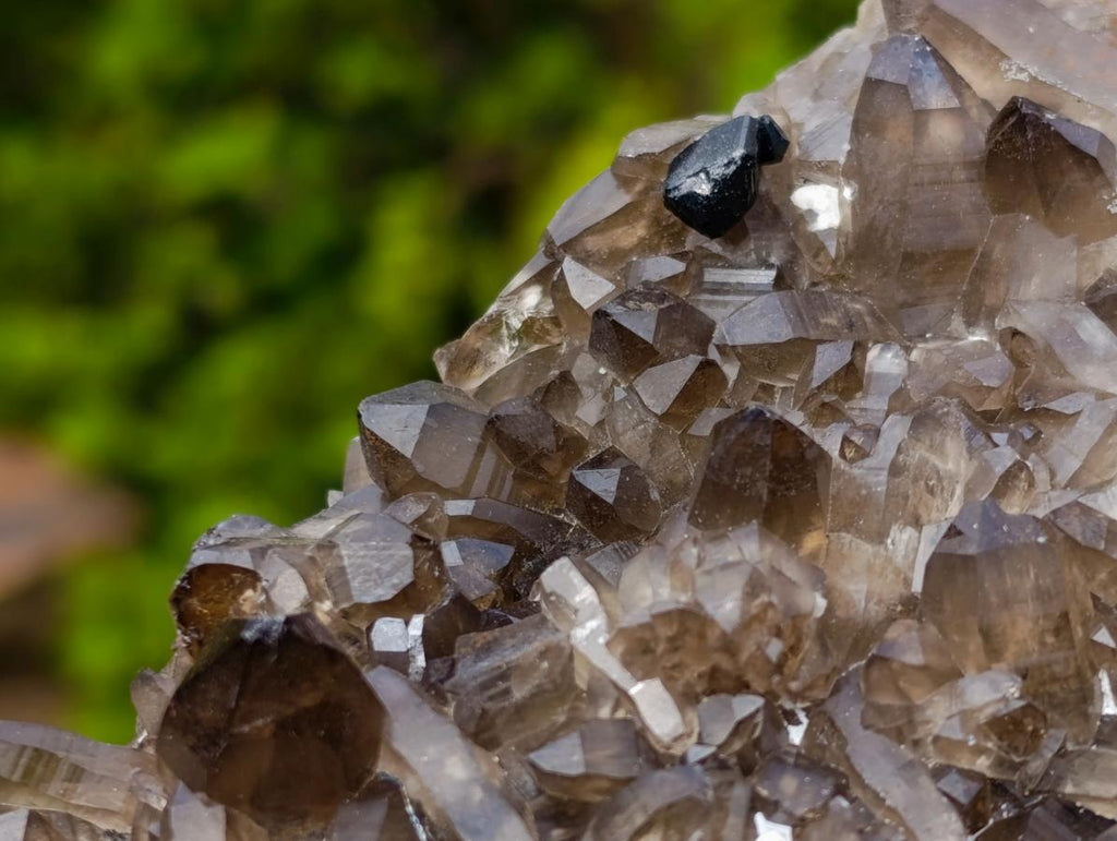 Natural Smokey Quartz Crystals and Clusters with Associated Minerals x 42 From Erongo, Namibia - Toprock Gemstones and Minerals 