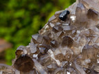 Natural Smokey Quartz Crystals and Clusters with Associated Minerals x 42 From Erongo, Namibia - Toprock Gemstones and Minerals 