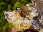 Natural Smokey Quartz Crystals and Clusters with Associated Minerals x 42 From Erongo, Namibia - Toprock Gemstones and Minerals 