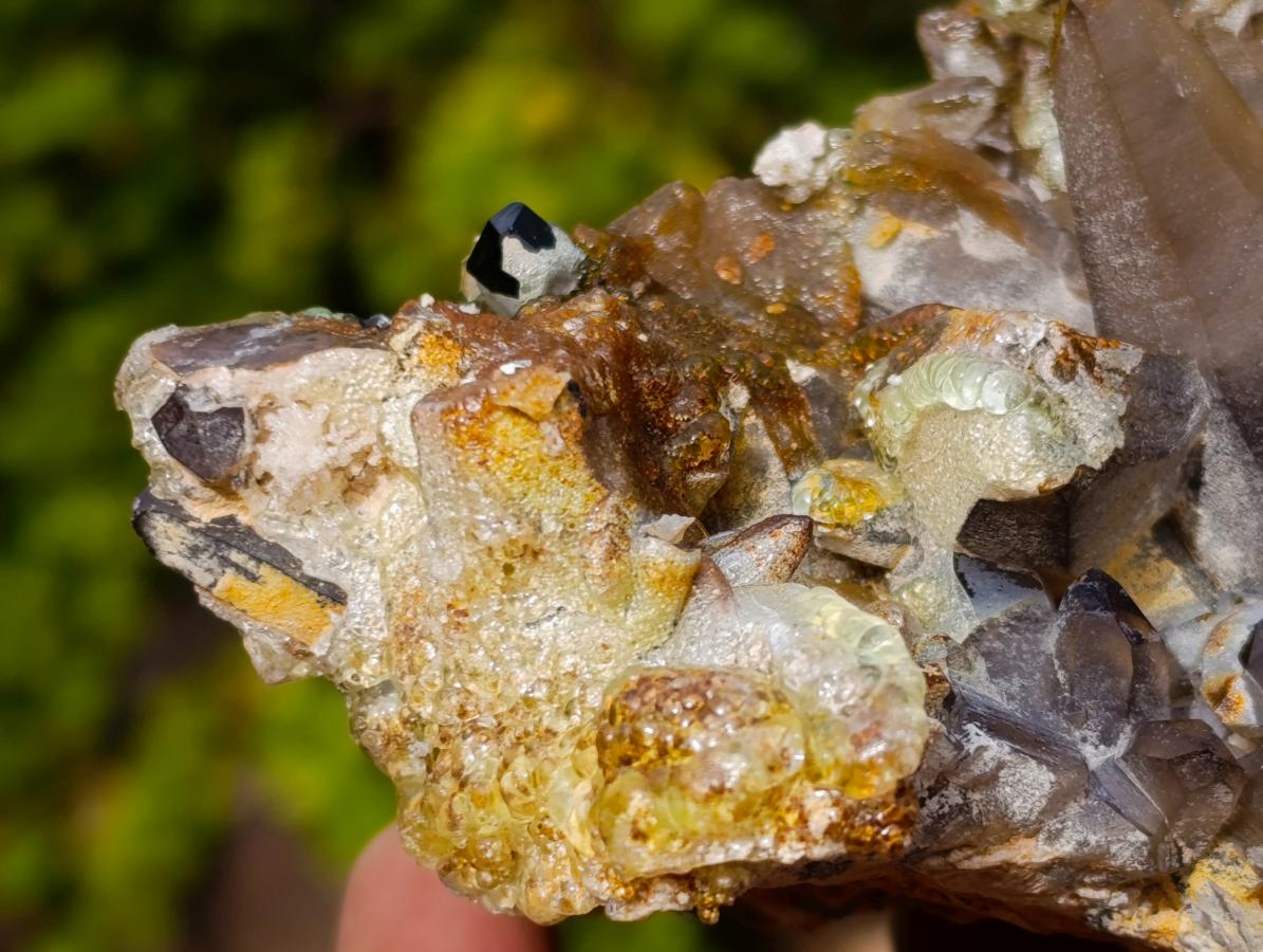 Natural Smokey Quartz Crystals and Clusters with Associated Minerals x 42 From Erongo, Namibia - Toprock Gemstones and Minerals 