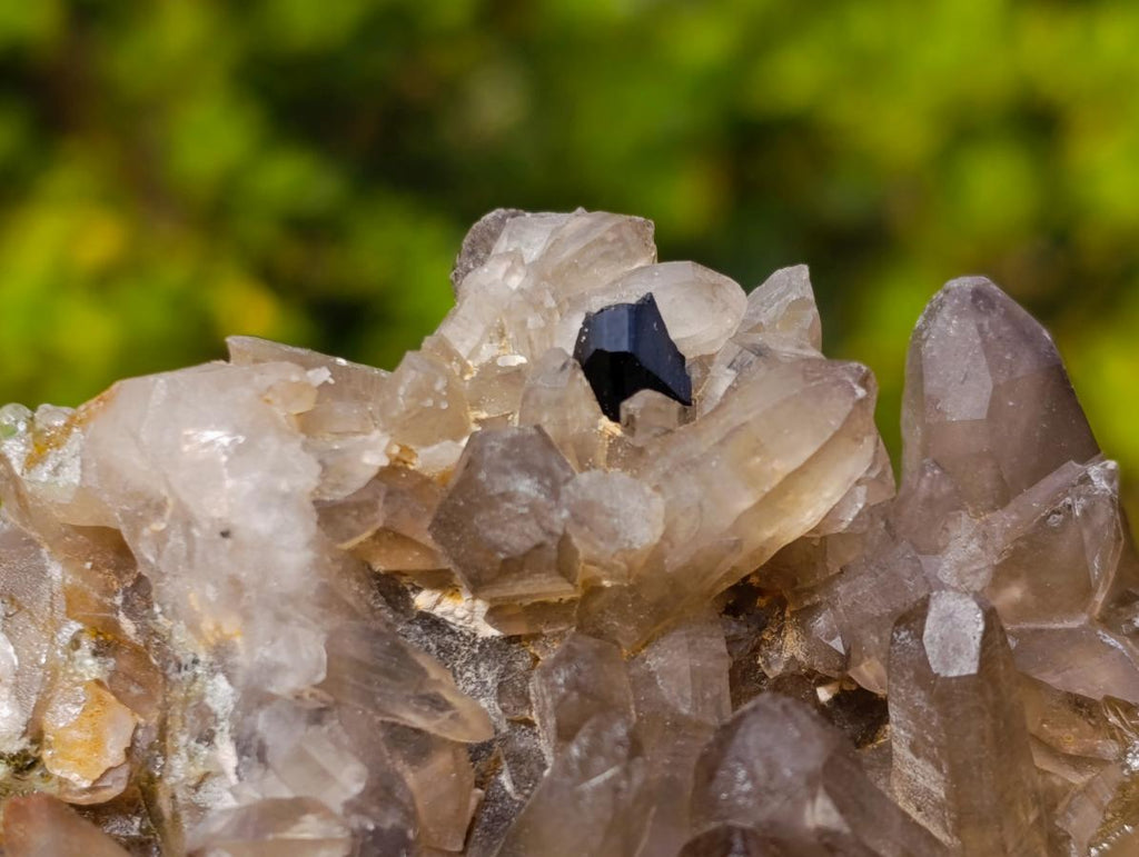 Natural Smokey Quartz Crystals and Clusters with Associated Minerals x 42 From Erongo, Namibia - Toprock Gemstones and Minerals 