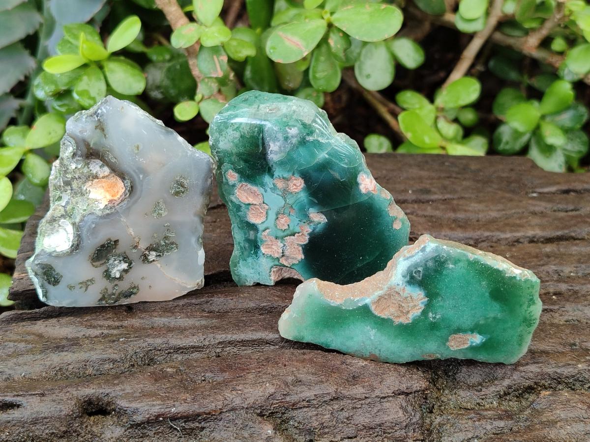 Polished One Side Mtorolite Chrysoprase Slices x 24 From Mutorashanga, Zimbabwe - Toprock Gemstones and Minerals 