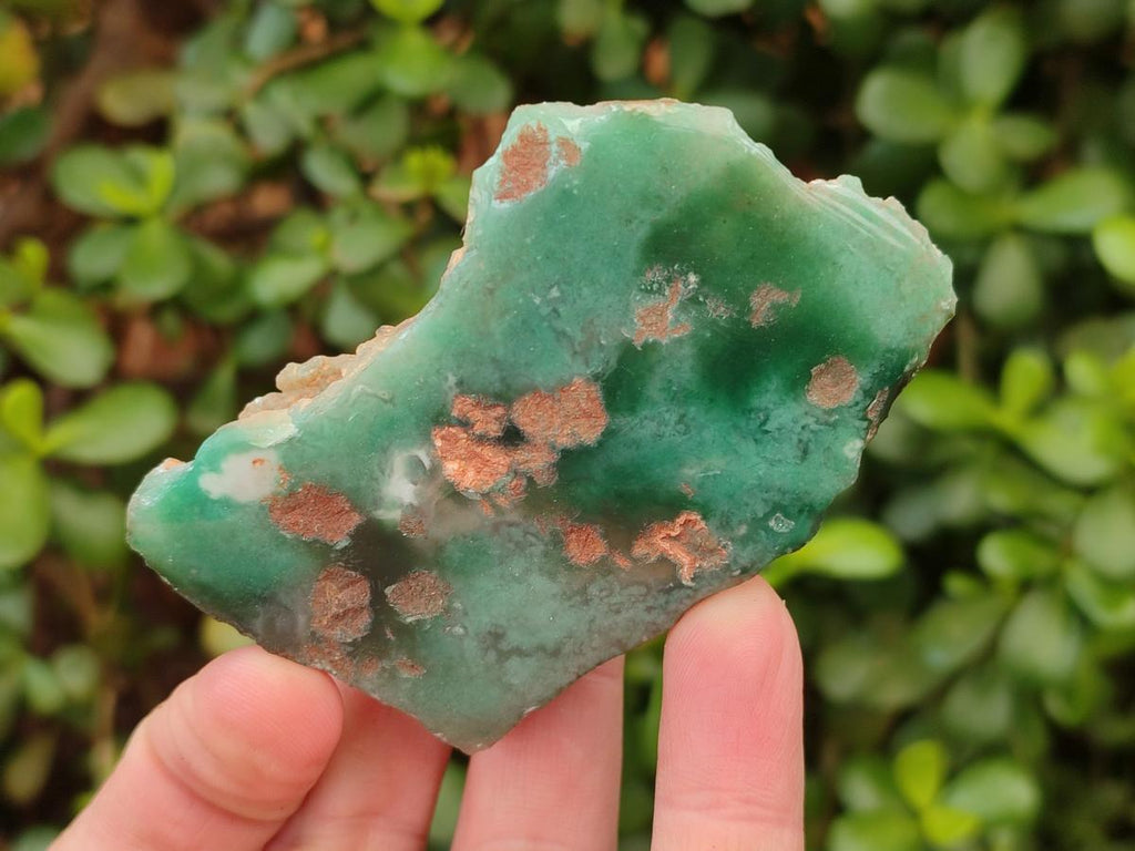 Polished One Side Mtorolite Chrysoprase Slices x 24 From Mutorashanga, Zimbabwe - Toprock Gemstones and Minerals 