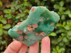 Polished One Side Mtorolite Chrysoprase Slices x 24 From Mutorashanga, Zimbabwe - Toprock Gemstones and Minerals 