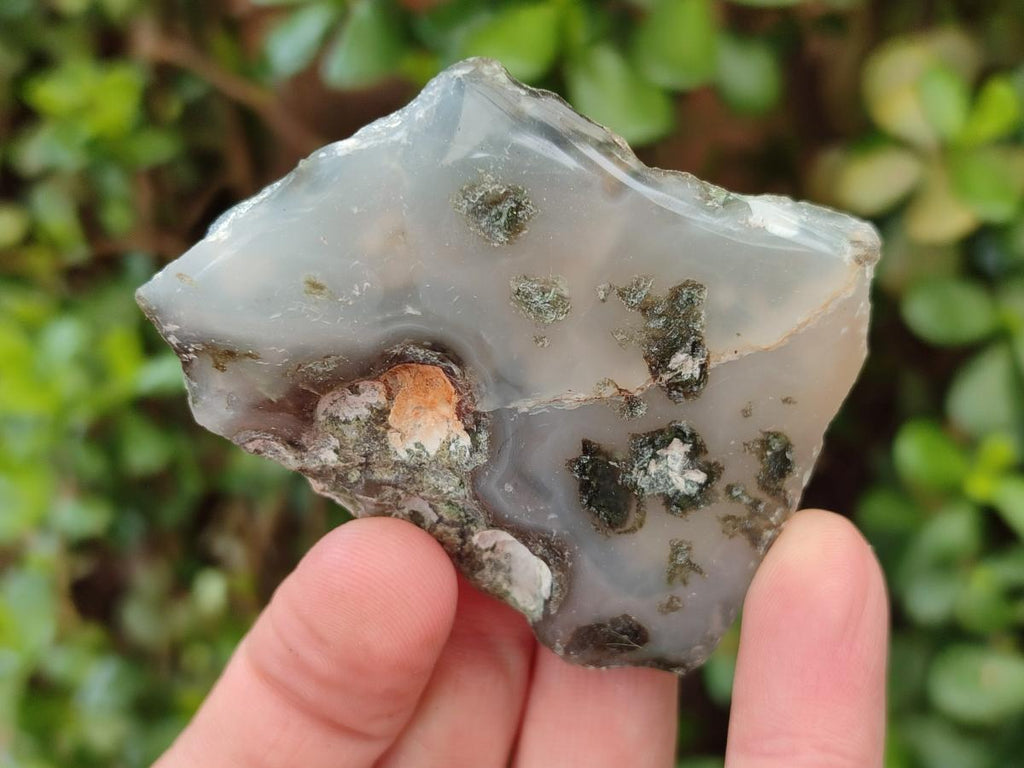Polished One Side Mtorolite Chrysoprase Slices x 24 From Mutorashanga, Zimbabwe - Toprock Gemstones and Minerals 