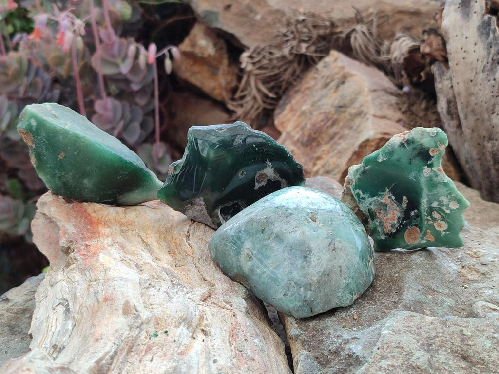 Polished One Side Mtorolite Chrysoprase Slices x 24 From Mutorashanga, Zimbabwe - Toprock Gemstones and Minerals 