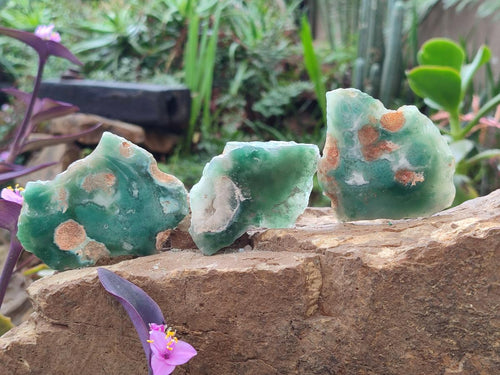 Polished One Side Mtorolite Chrysoprase Slices x 24 From Mutorashanga, Zimbabwe - Toprock Gemstones and Minerals 