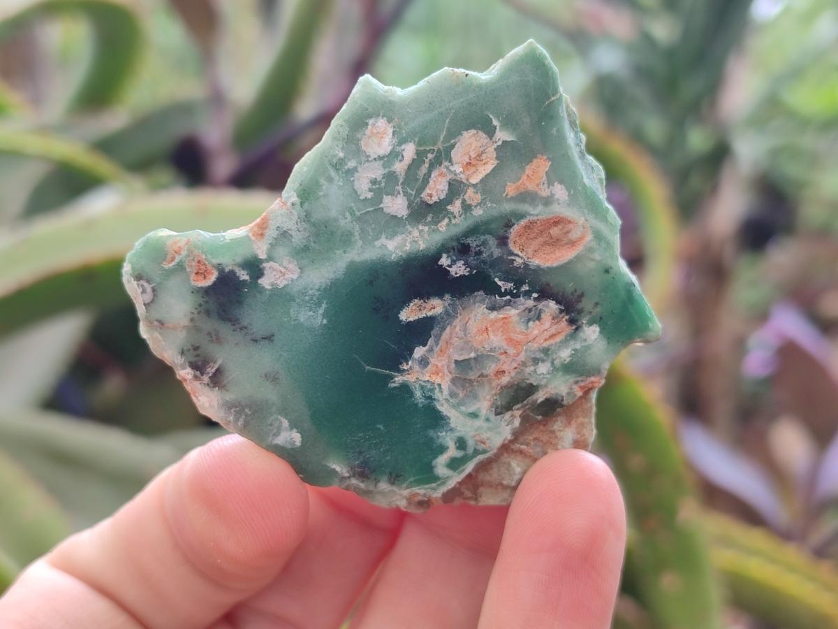 Polished One Side Mtorolite Chrysoprase Slices x 24 From Mutorashanga, Zimbabwe - Toprock Gemstones and Minerals 