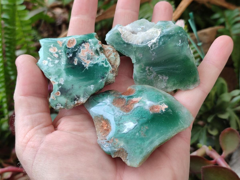 Polished One Side Mtorolite Chrysoprase Slices x 24 From Mutorashanga, Zimbabwe - Toprock Gemstones and Minerals 
