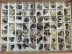Natural Smokey Fluorite Specimens with Yellow Muscovite Mica x 70 From Erongo, Namibia - Toprock Gemstones and Minerals 