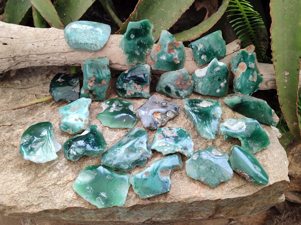 Polished One Side Mtorolite Chrysoprase Slices x 24 From Mutorashanga, Zimbabwe - Toprock Gemstones and Minerals 