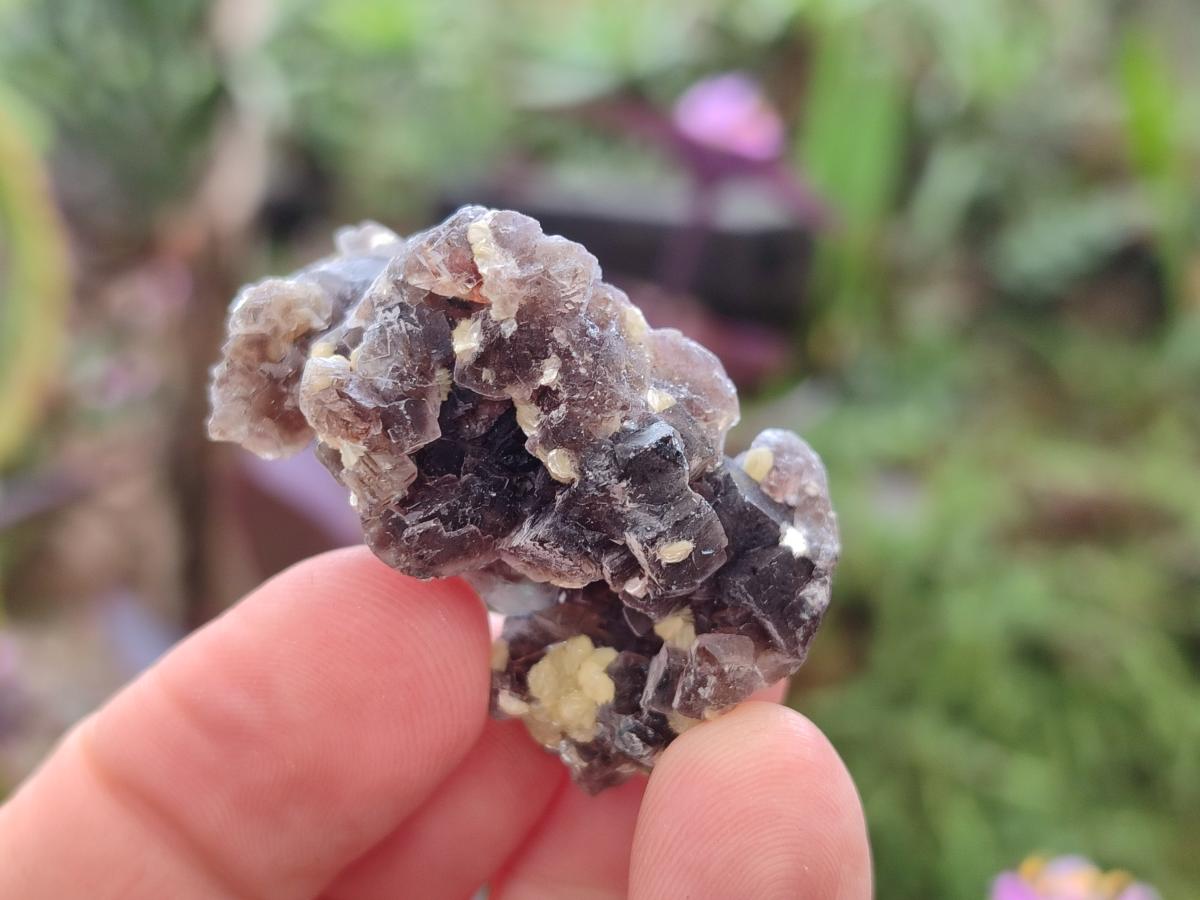 Natural Smokey Fluorite Specimens with Yellow Muscovite Mica x 70 From Erongo, Namibia - Toprock Gemstones and Minerals 