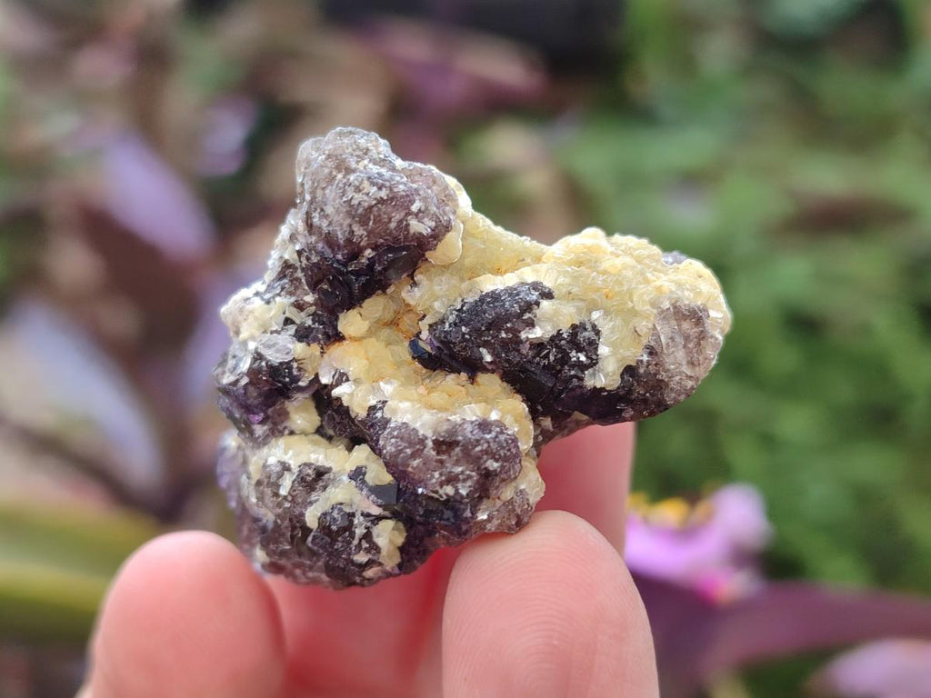 Natural Smokey Fluorite Specimens with Yellow Muscovite Mica x 70 From Erongo, Namibia - Toprock Gemstones and Minerals 
