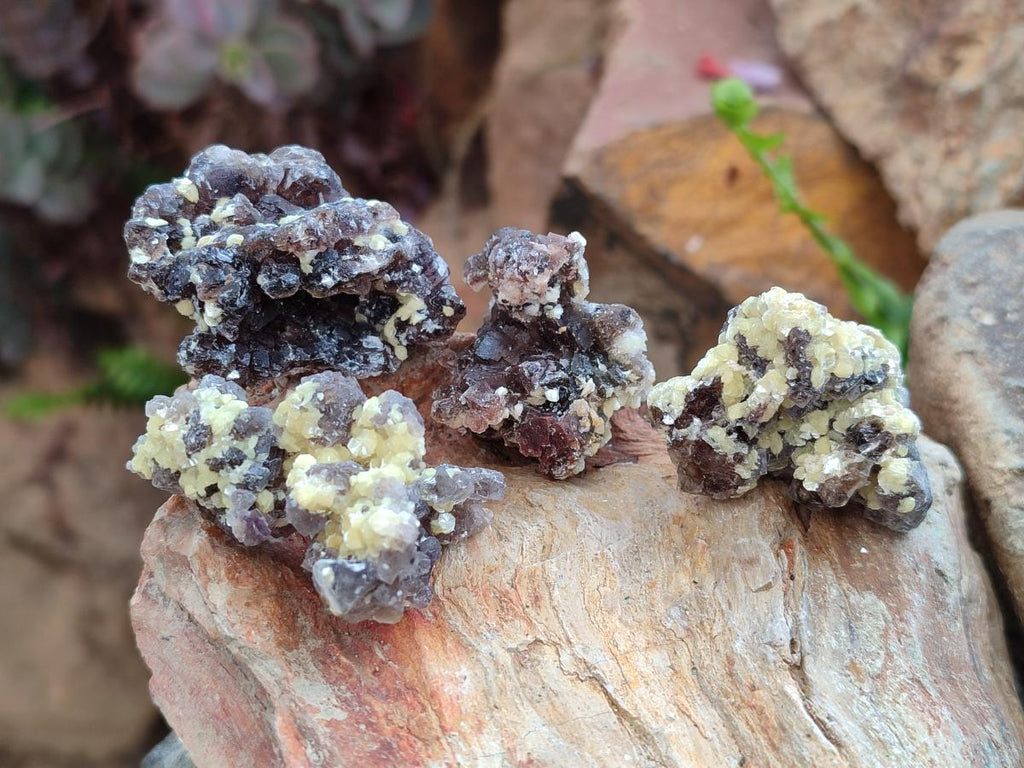 Natural Smokey Fluorite Specimens with Yellow Muscovite Mica x 70 From Erongo, Namibia - Toprock Gemstones and Minerals 