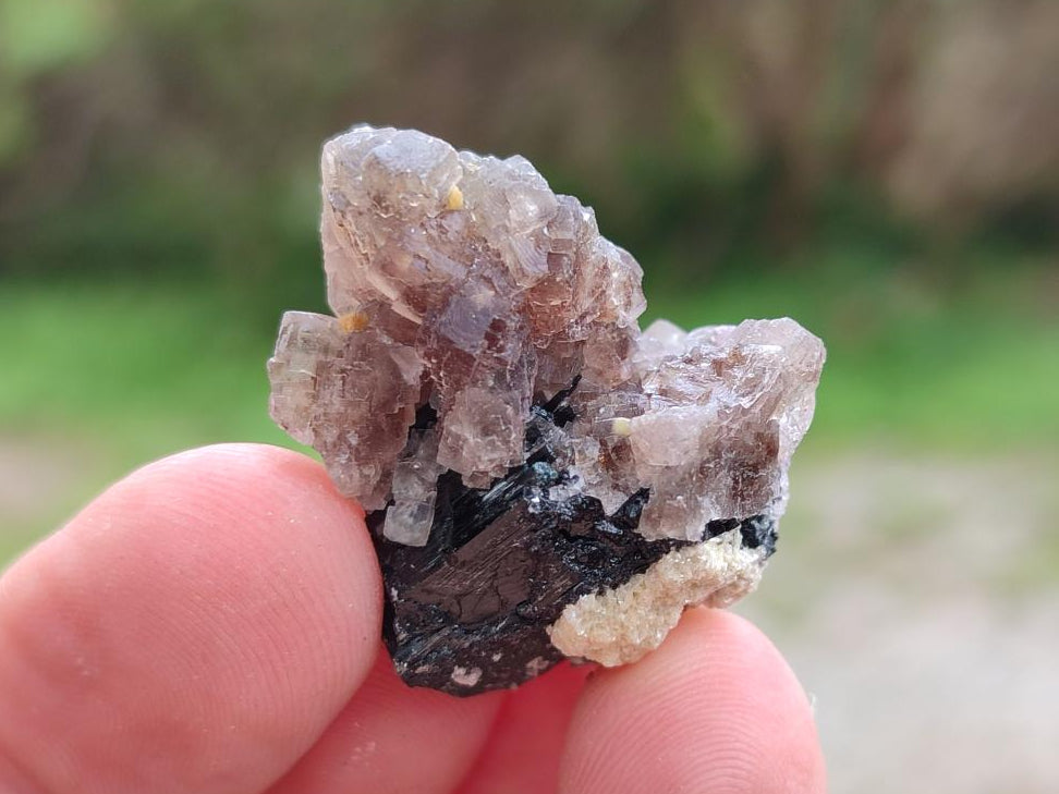 Natural Smokey Fluorite Specimens with Yellow Muscovite Mica x 70 From Erongo, Namibia - Toprock Gemstones and Minerals 