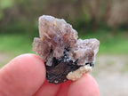 Natural Smokey Fluorite Specimens with Yellow Muscovite Mica x 70 From Erongo, Namibia - Toprock Gemstones and Minerals 