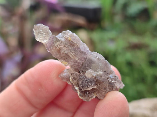Natural Smokey Fluorite Specimens with Yellow Muscovite Mica x 70 From Erongo, Namibia - Toprock Gemstones and Minerals 