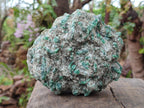 Natural Emerald Mica 'Mutokolite' Cobbed Specimens x 2 From Mutoko, Zimbabwe - Toprock Gemstones and Minerals 