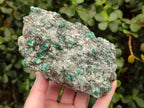 Natural Emerald Mica 'Mutokolite' Cobbed Specimens x 2 From Mutoko, Zimbabwe - Toprock Gemstones and Minerals 