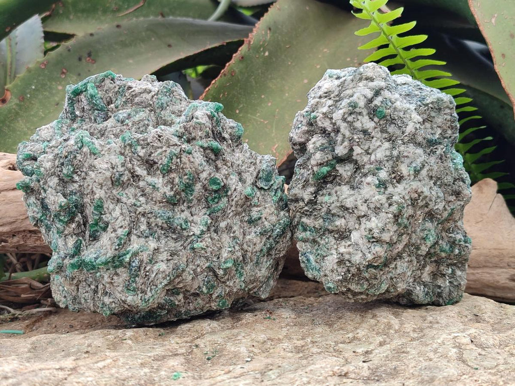 Natural Emerald Mica 'Mutokolite' Cobbed Specimens x 2 From Mutoko, Zimbabwe - Toprock Gemstones and Minerals 